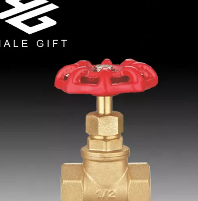 Female Threaded Brass Globe Stop Check Valve / 2