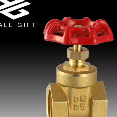 wholesale Italy PN16 Brass Stem Gate Valve with Steel Handwheel / 3