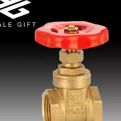 wholesale Italy PN16 Brass Stem Gate Valve with Steel Handwheel / 1