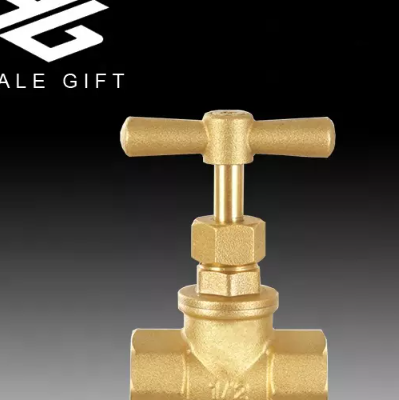 Female Threaded Brass Globe Stop Check Valve / 2