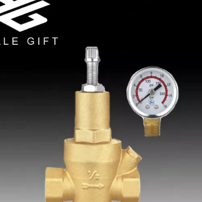 Brass Natural Gas Pressure Reducing Valve / 2