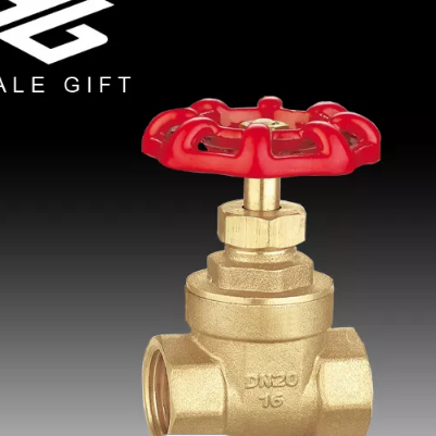 wholesale Italy PN16 Brass Stem Gate Valve with Steel Handwheel / 2