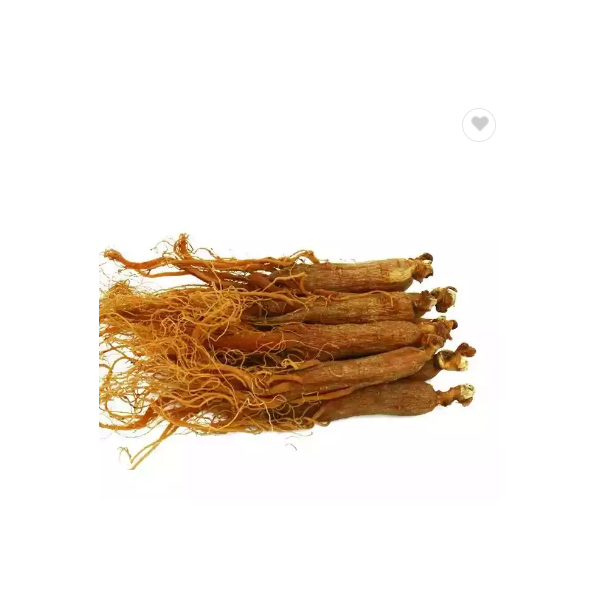 Raw Panax Ginseng Red Ginseng Extract / 3