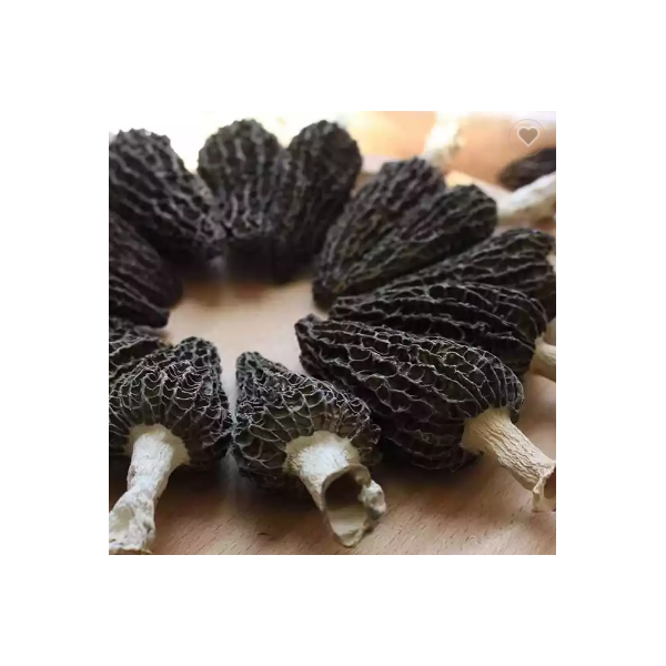 Dried Morchella Morel Price Morel Mushroom / 3