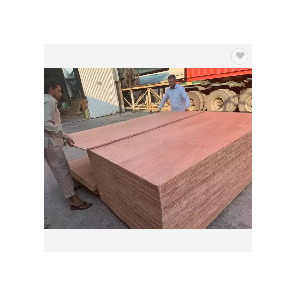 Plywood 18mm Construction For Sale Cheap Price / 2