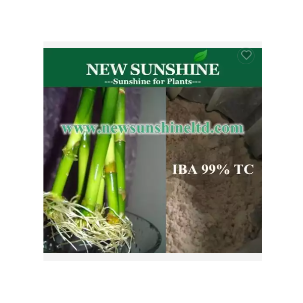 99% Root Hormone IBA High Quality Indole Butyric Acid Iba agricultural chemical Indole butyric acid  / 2