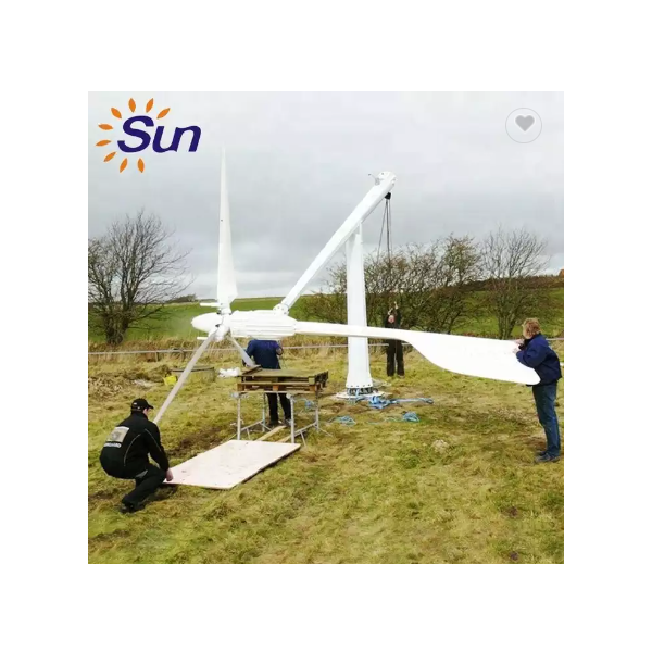 House Solar System 48V Wind Mill Generator From China / 2