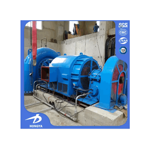 Vertical low speed river hydro francis turbine 1mw / 3