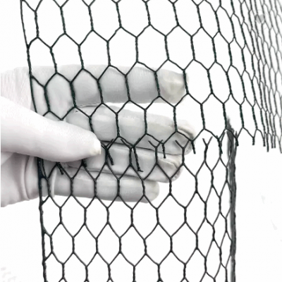 Hight quality galvanized hexagonal netting chicken wire mesh