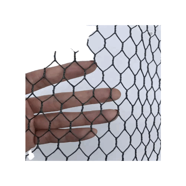 chicken galvanized wire mesh and netting hexagonal gabion mesh / 6