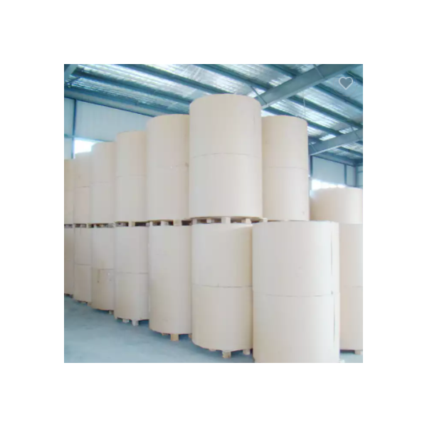 Manufacture Pe Coated Paper Roll Paper Cup Raw Material For Paper Cup with good quality / 3