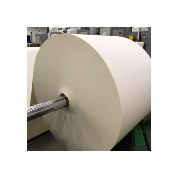 Pe coated FBB paper rolls paper raw material for paper cup / 3