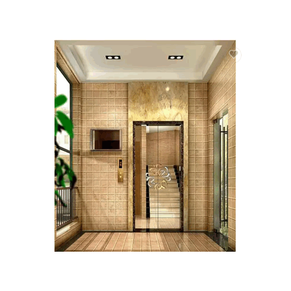 China Factory Home Used Villa Elevator, China Manufacturer Panoramic Small Passenger Lift / 5