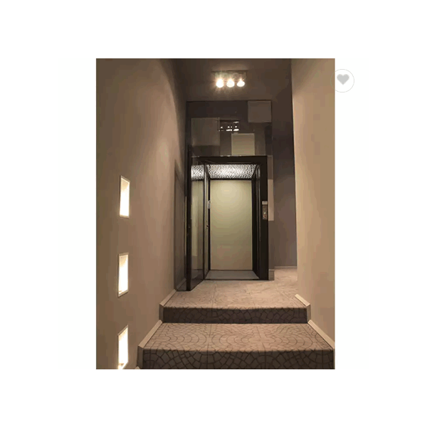 China Factory Home Used Villa Elevator, China Manufacturer Panoramic Small Passenger Lift / 2