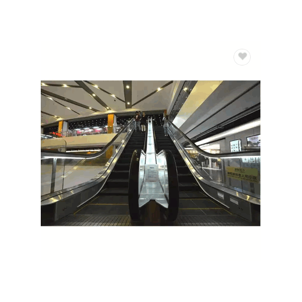 High Quality Electric Commercial Prix D'Indexation Escalator / 1