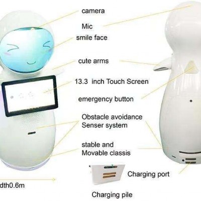 Education assistant intelligent robot Snow