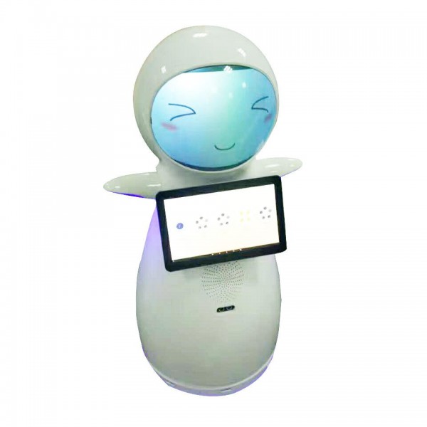 Kids companion smart robot Snow used in School for Education / 3