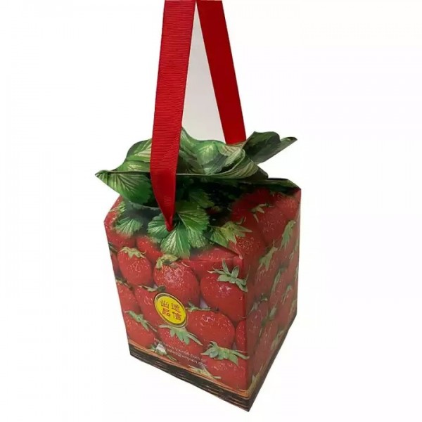 2022 New design Christmas gift packaging custom cardboard box fruits, Nuts paper box with handle / 2