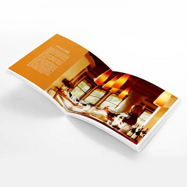 Square Brochure Booklet Promotional Advertisement Full Color Books Catalogs Digital Printing Service / 1