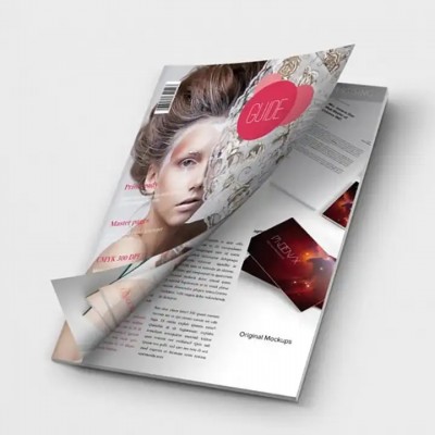 Professional Design Custom A4 Advertisement Magazine Brochure Colorful Printing