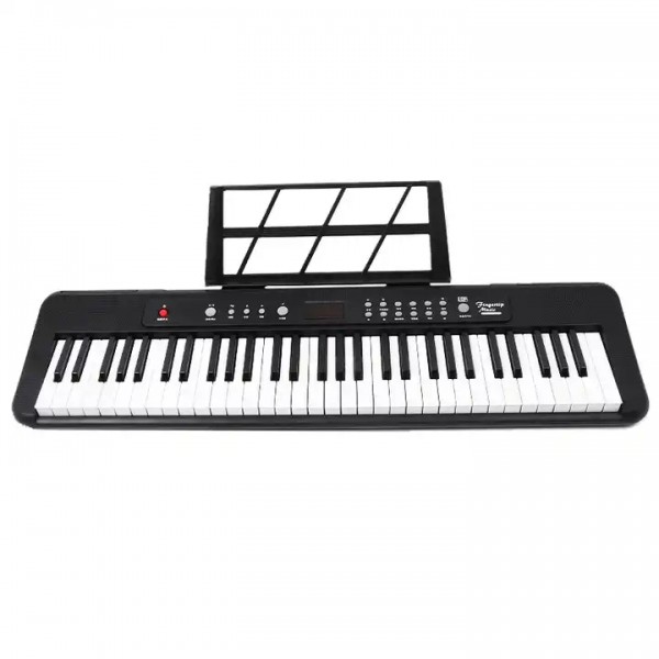 Chinese Manufacturer Music Teaching Toys Electric Organ 61 Key Electronic Keyboard Piano For Sale / 1