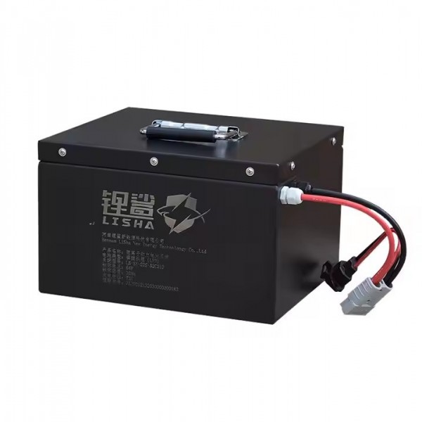 Lisha Factory Rechargeable LiFePO4 48V/51.2V 60Ah Power Battery Power System Lithium ion Battery Pac / 3