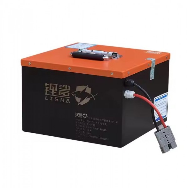 Lisha High Quality Rechargeable LiFePO4 Battery Pack 48V/51.2V 60Ah LFP Battery Power System Lithium / 3