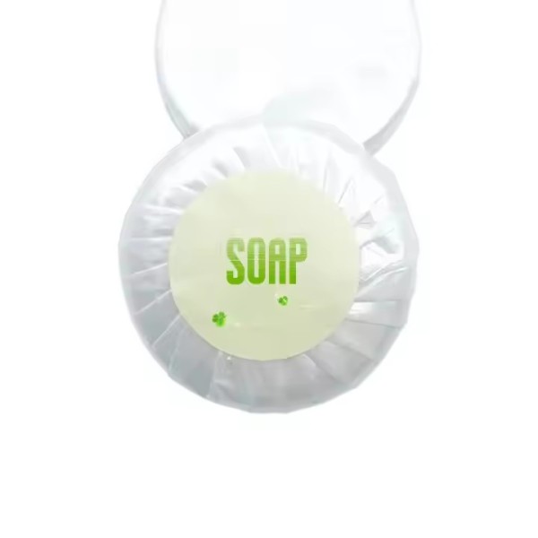 Customize New Design Best Price Biodegradable Soap Tube Hotel Factory Eco Amenities / 2