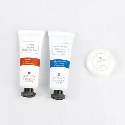 Wholesale Toothpaste and Hotel Travel Toothbrush Sets and Bathroom Products Soap Shampoo Set
