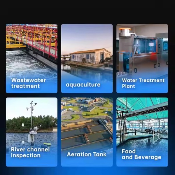 Customizable ECA-FDO Dissolved Oxygen Sensor for Industrial Food Beverage Groundwater Water Quality  / 2